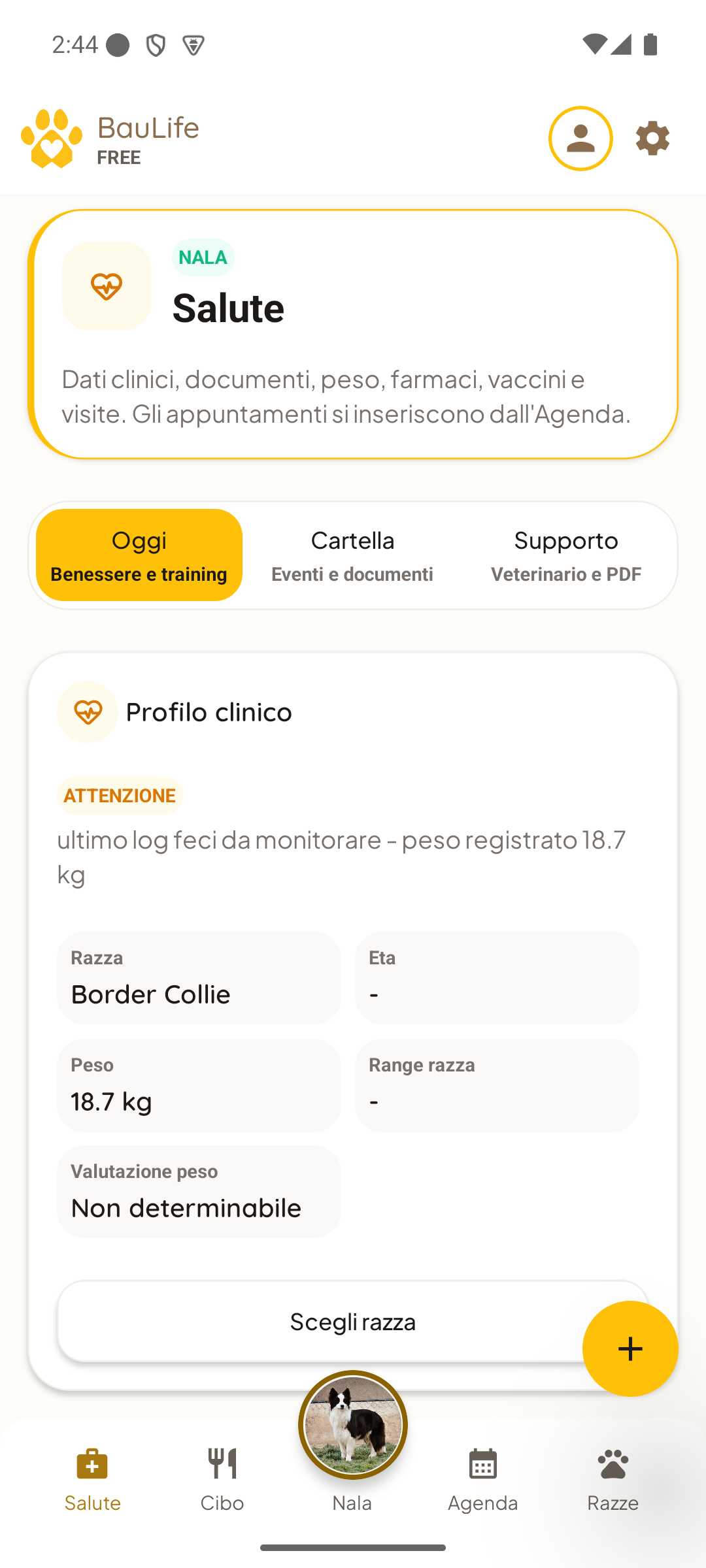 Schermata 3 di Baulife