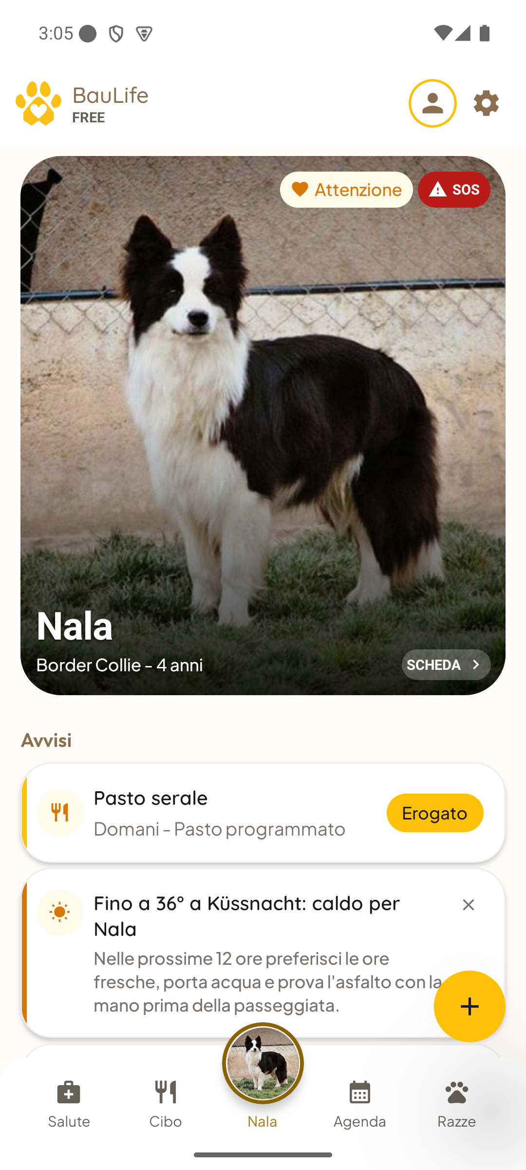 Schermata 1 di Baulife