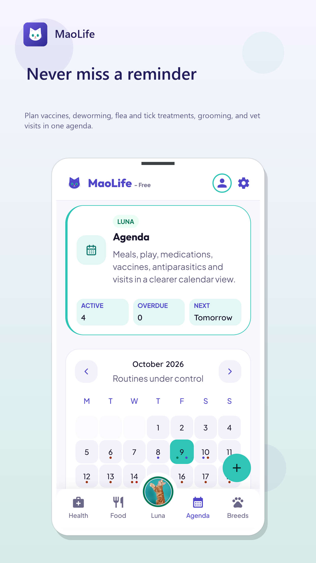 Screen 3 of MaoLife: Your cat's digital home.