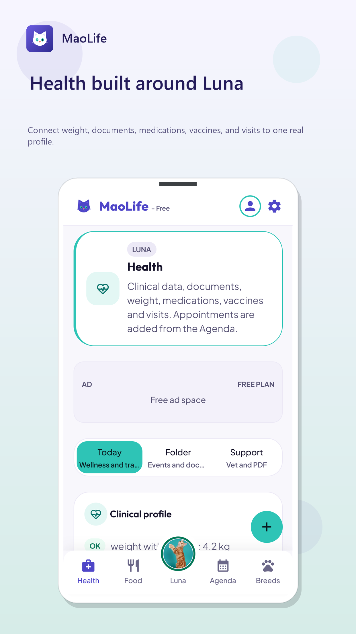 Screen 4 of MaoLife: Your cat's digital home.