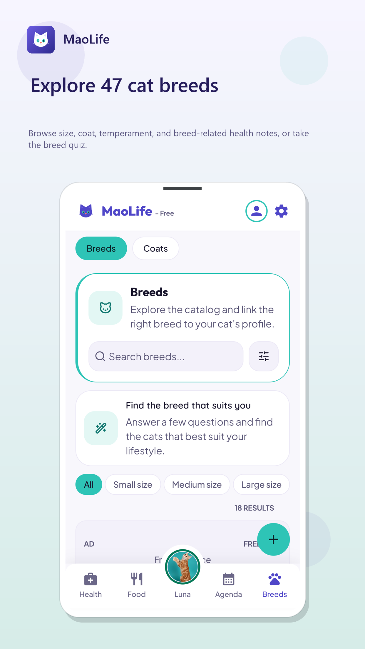 Screen 6 of MaoLife: Your cat's digital home.