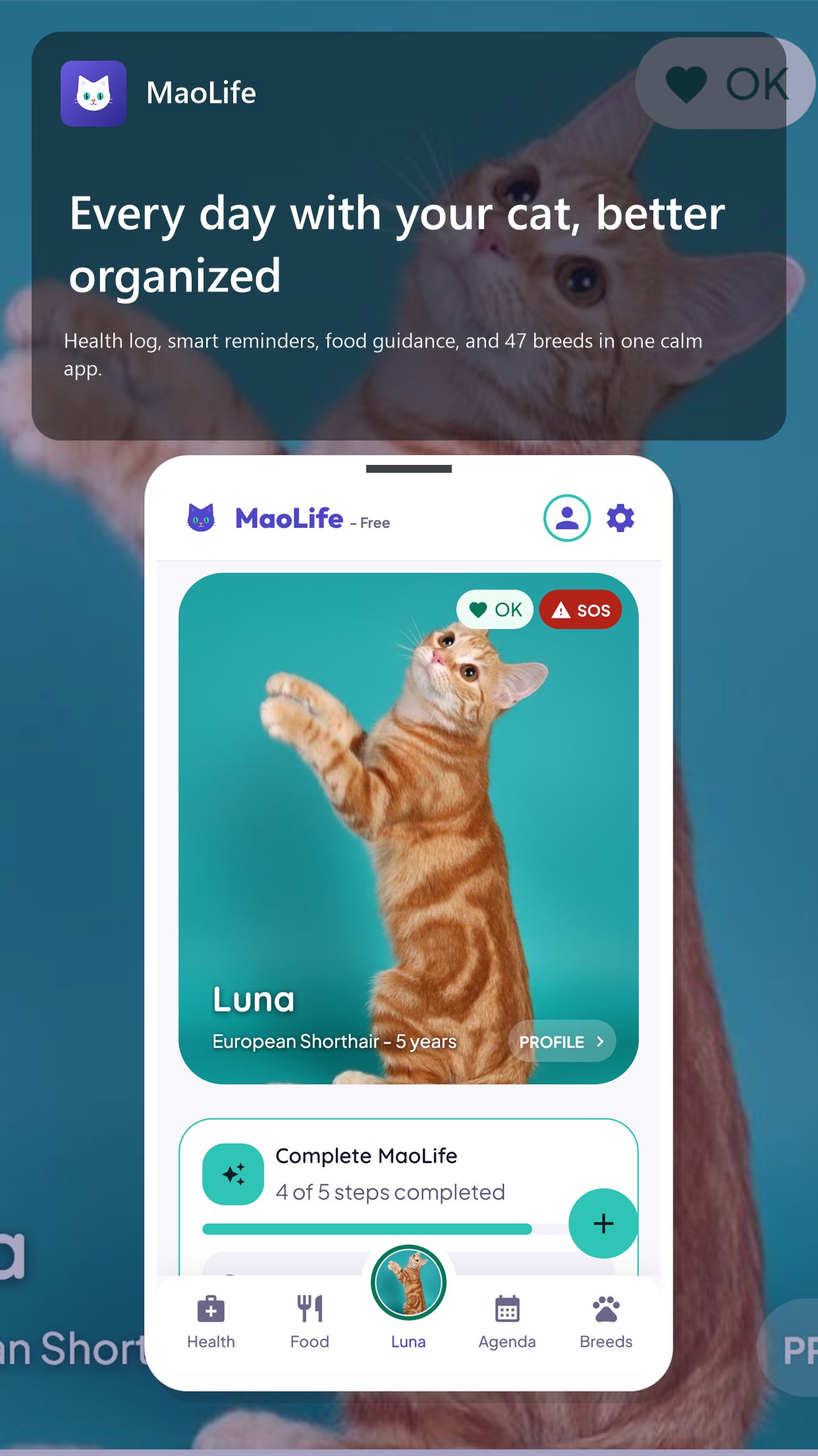 Screen 1 of MaoLife: Your cat's digital home.